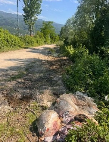 KURBAN ATIĞINA TEPKİ 28.05.2026