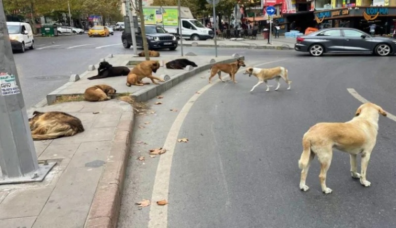 BAKAN AÇIKLADI 15.06.2026