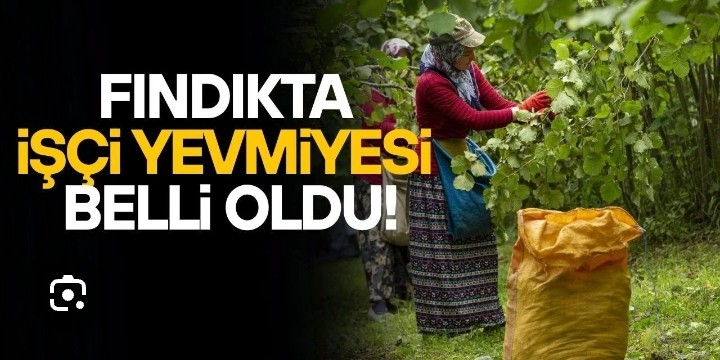 FINDIK YEVMİYESİ BELLİ OLDU 30.06.2026