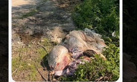 KURBAN ATIĞINA TEPKİ 28.05.2026